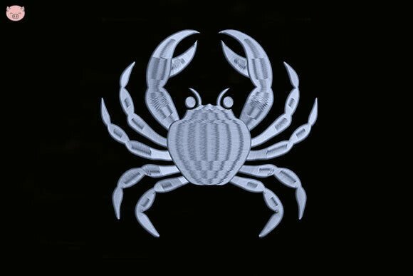 Sea Crab Embroidery: A Designer's Practical Review